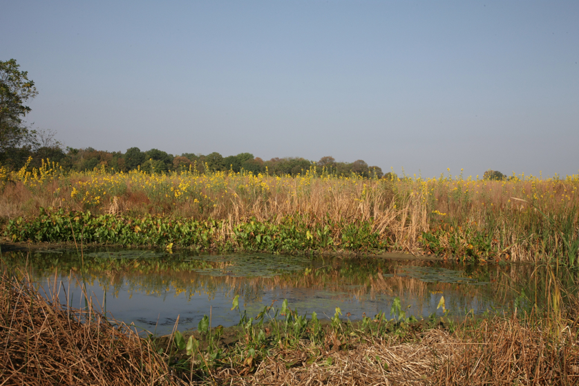 Full Size Image = 5184 K