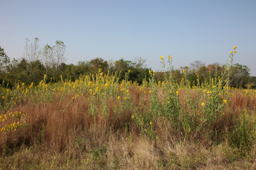 Full Size Image = 5908 K