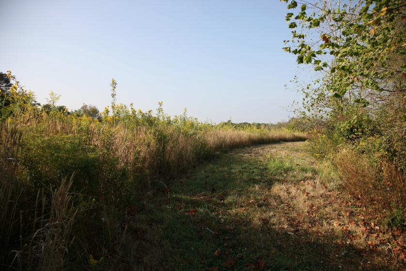 Full Size Image = 5226 K