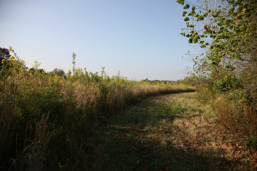 Full Size Image = 5190 K