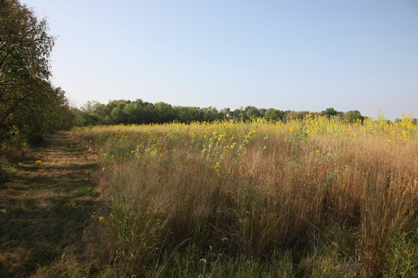 Full Size Image = 5154 K