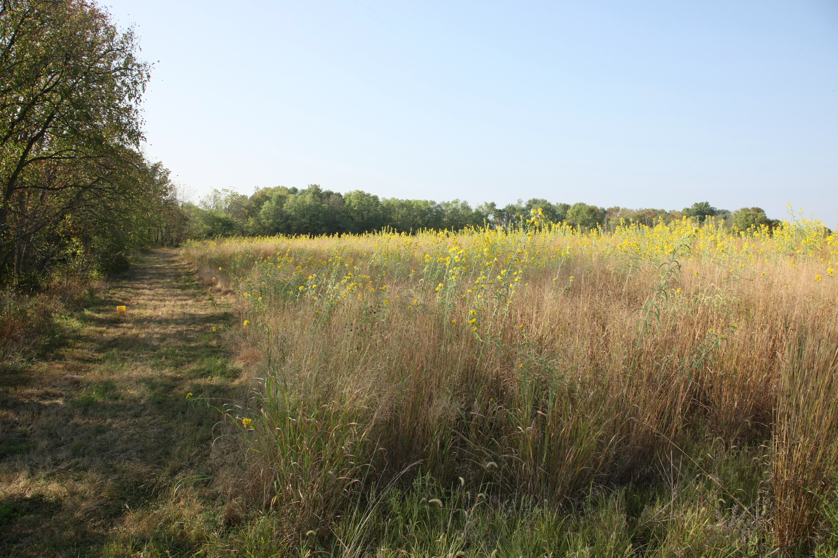 Full Size Image = 5790 K