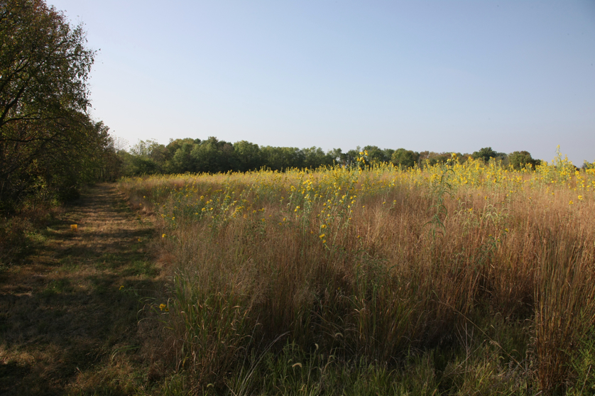 Full Size Image = 4971 K