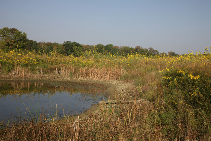 Full Size Image = 5664 K