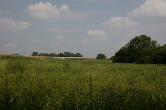 Full Size Image = 298 K