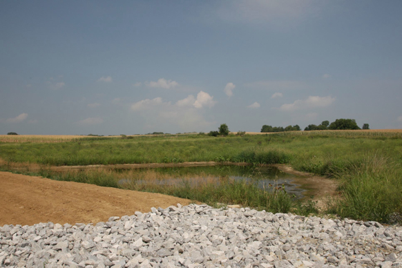 Full Size Image = 336 K