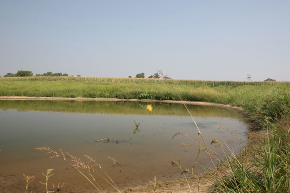 Full Size Image = 265 K