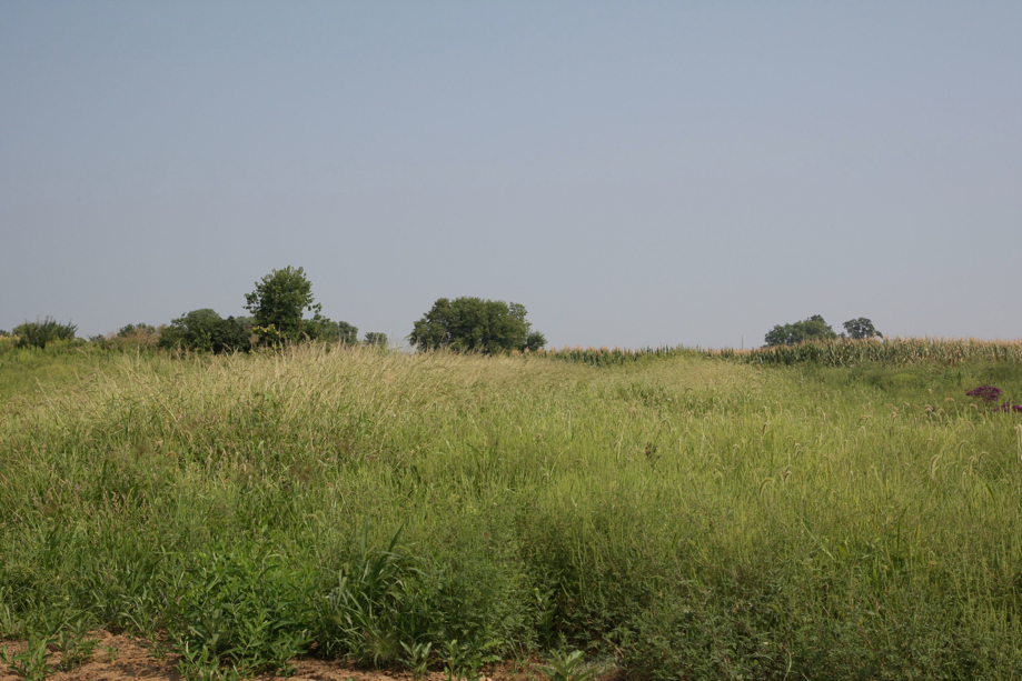 Full Size Image = 815 K