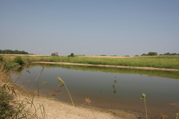 Full Size Image = 217 K