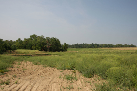 Full Size Image = 358 K