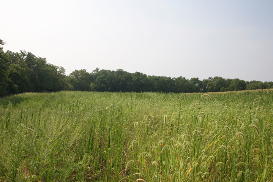 Full Size Image = 880 K