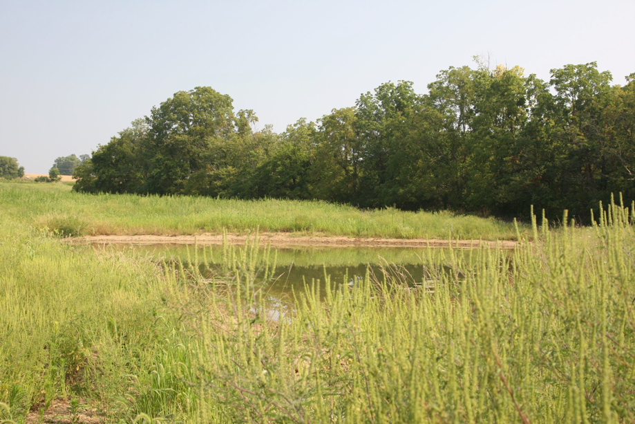 Full Size Image = 978 K