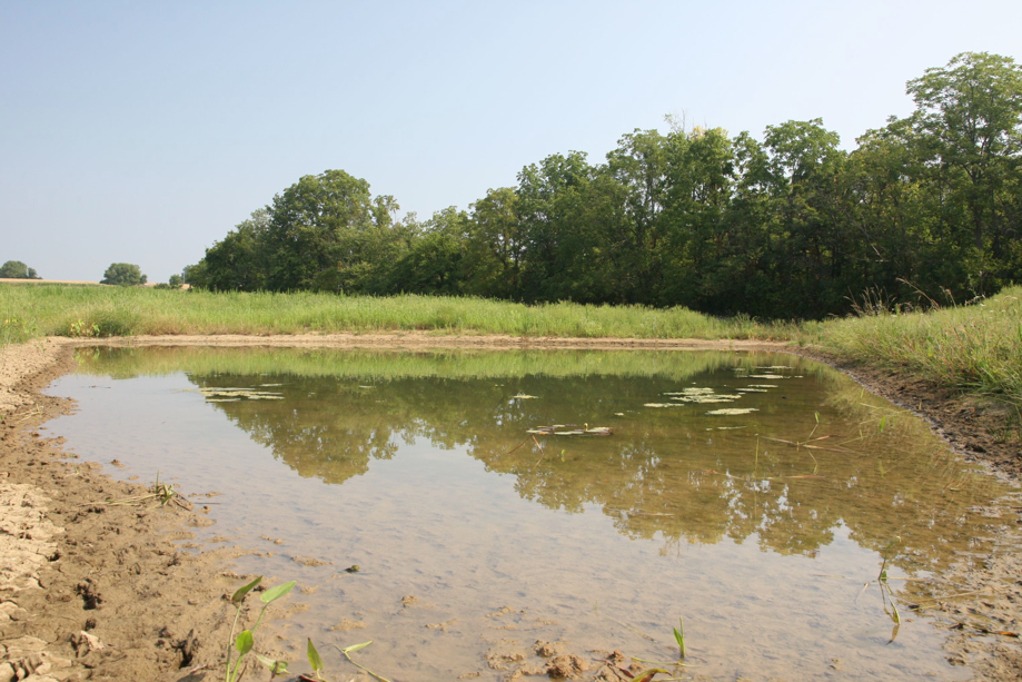 Full Size Image = 840 K