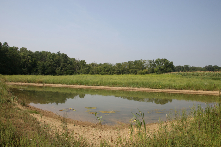 Full Size Image = 748 K