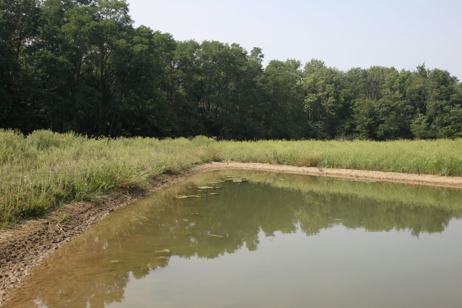 Full Size Image = 817 K