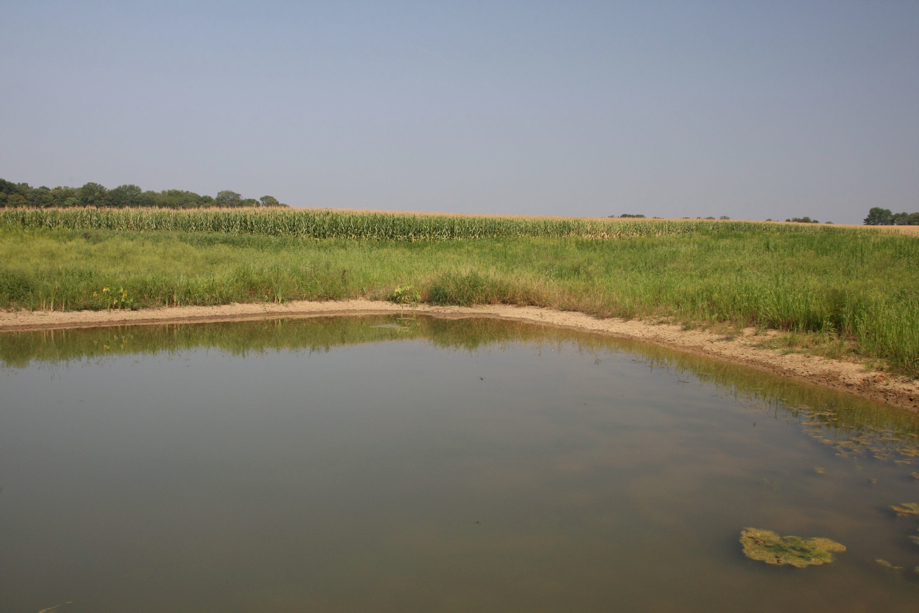 Full Size Image = 477 K