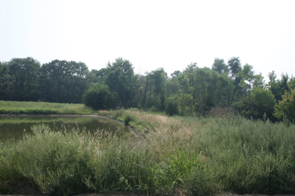 Full Size Image = 375 K