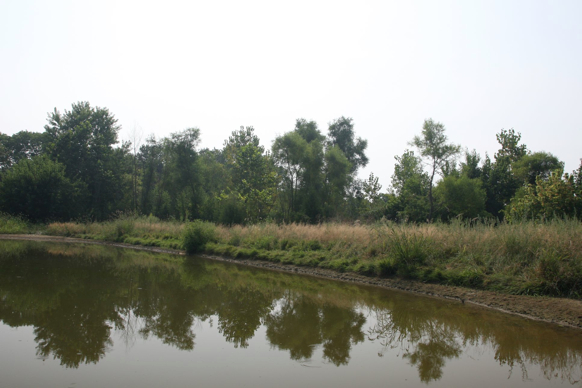 Full Size Image = 305 K