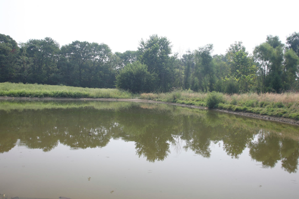 Full Size Image = 303 K