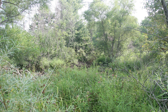 Full Size Image = 833 K