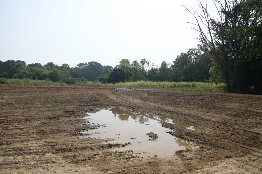 Full Size Image = 916 K