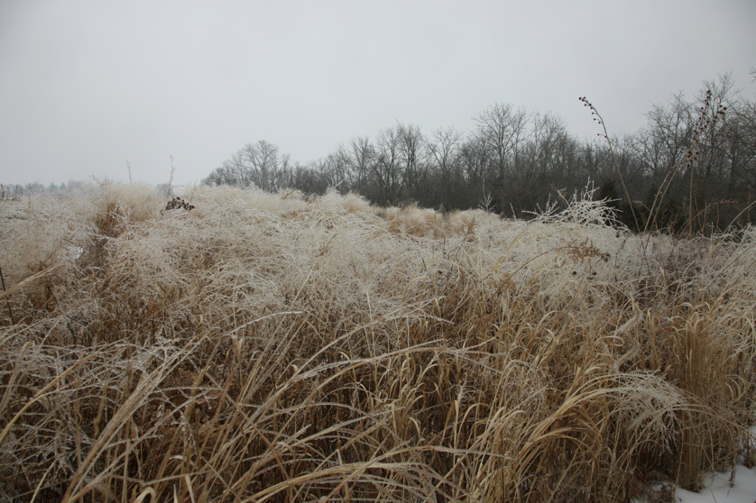 Full Size Image = 5056 K