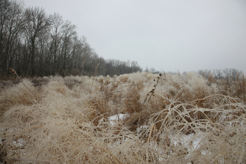 Full Size Image = 4708 K