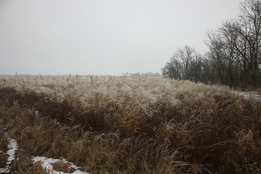 Full Size Image = 4780 K