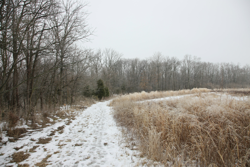 Full Size Image = 5602 K