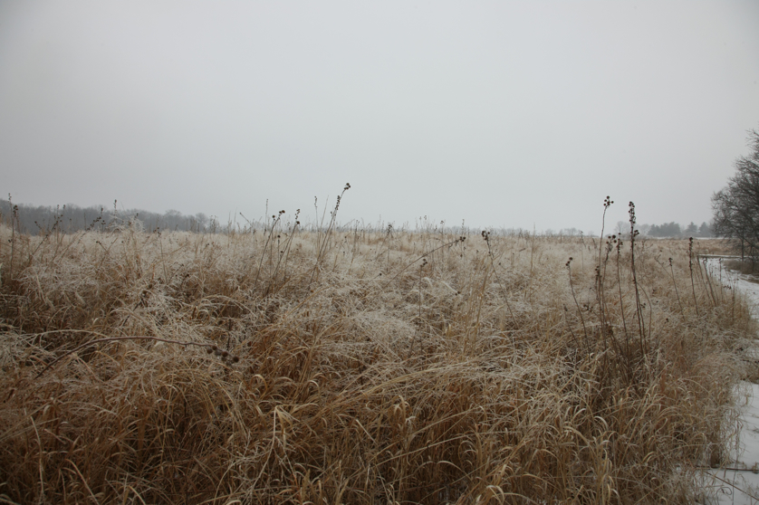 Full Size Image = 4377 K