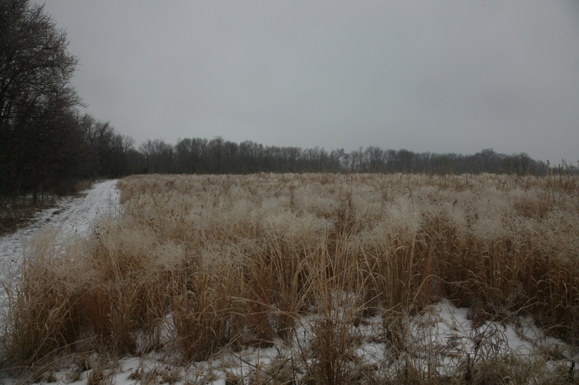 Full Size Image = 4368 K