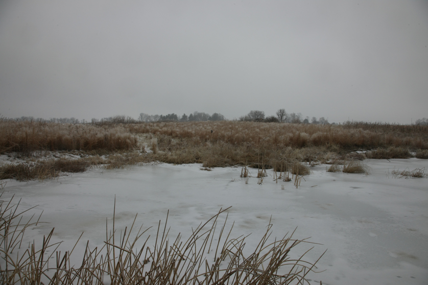 Full Size Image = 3089 K