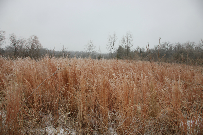 Full Size Image = 4808 K