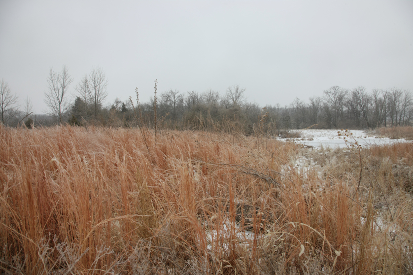 Full Size Image = 4562 K