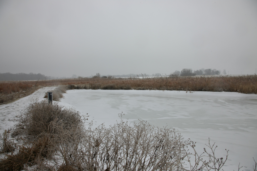 Full Size Image = 3374 K