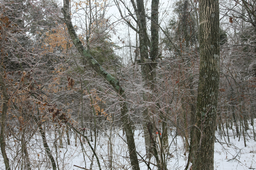 Full Size Image = 6405 K