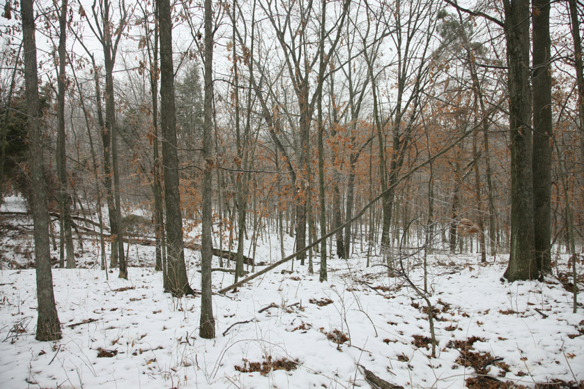 Full Size Image = 6503 K