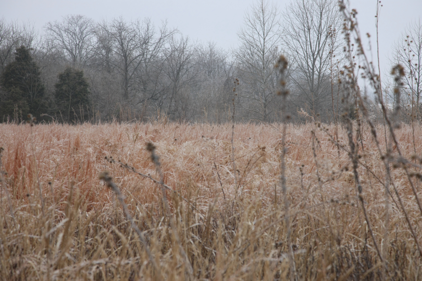 Full Size Image = 4692 K