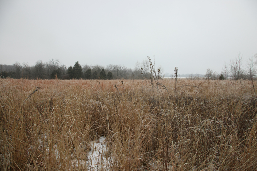 Full Size Image = 4884 K