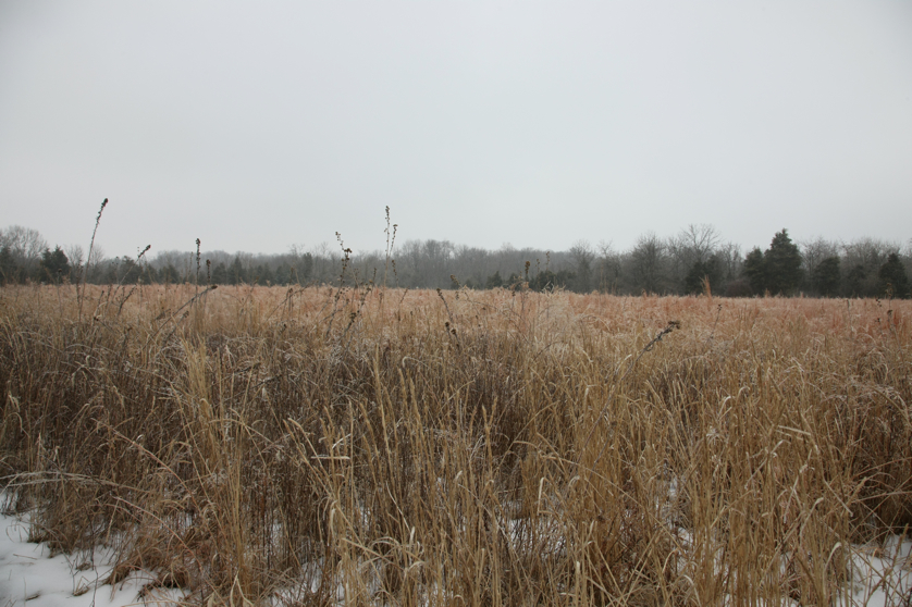 Full Size Image = 4643 K