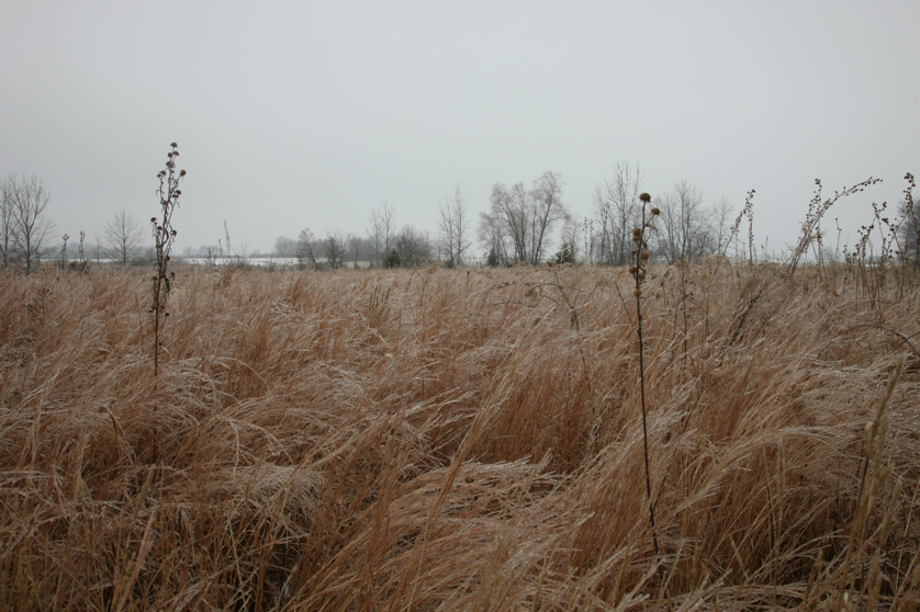 Full Size Image = 4829 K