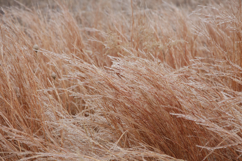 Full Size Image = 5333 K