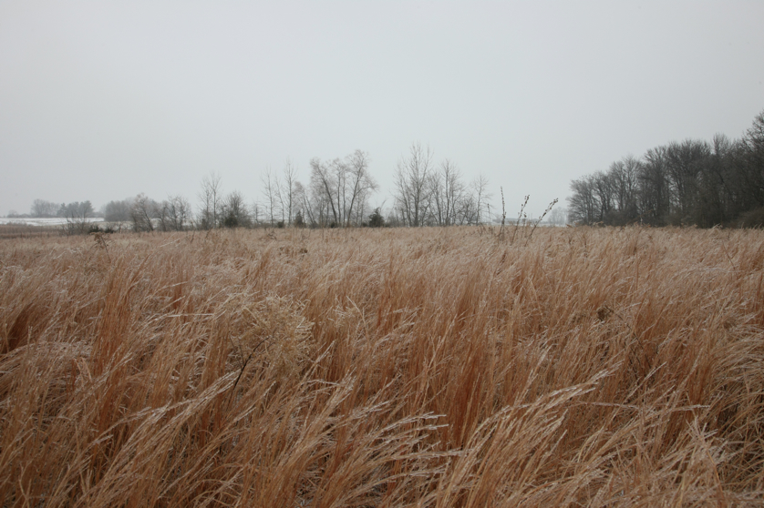 Full Size Image = 4694 K