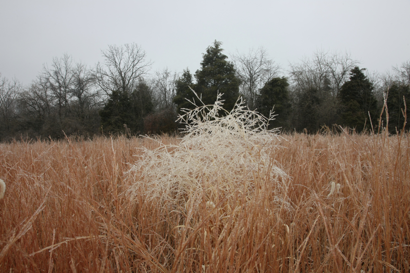 Full Size Image = 5035 K