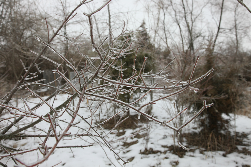 Full Size Image = 3736 K