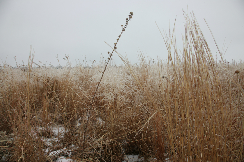 Full Size Image = 5060 K