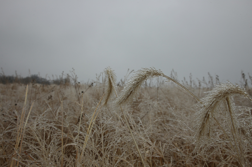 Full Size Image = 3348 K