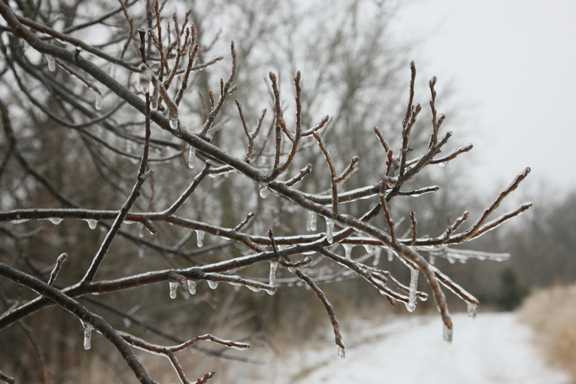 Full Size Image = 3316 K