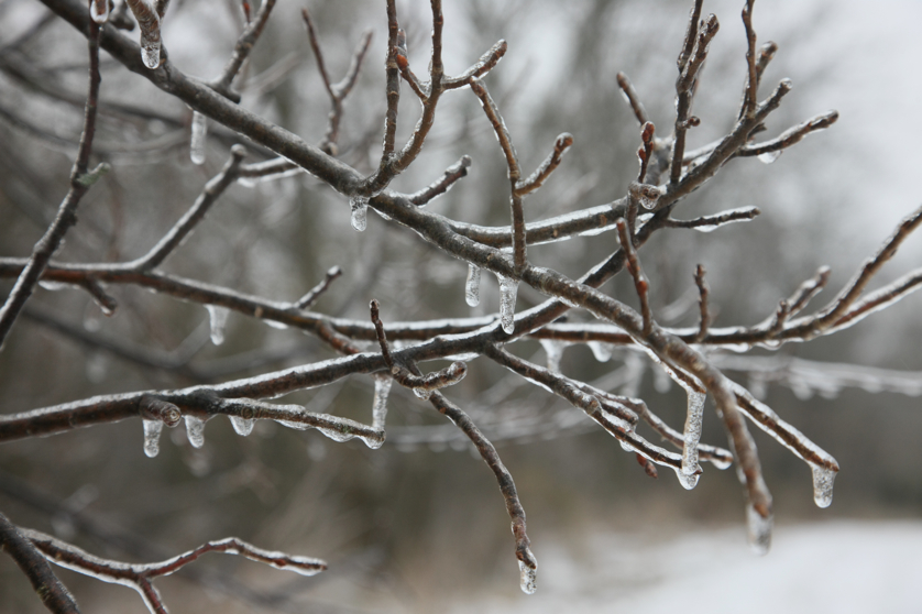 Full Size Image = 3211 K