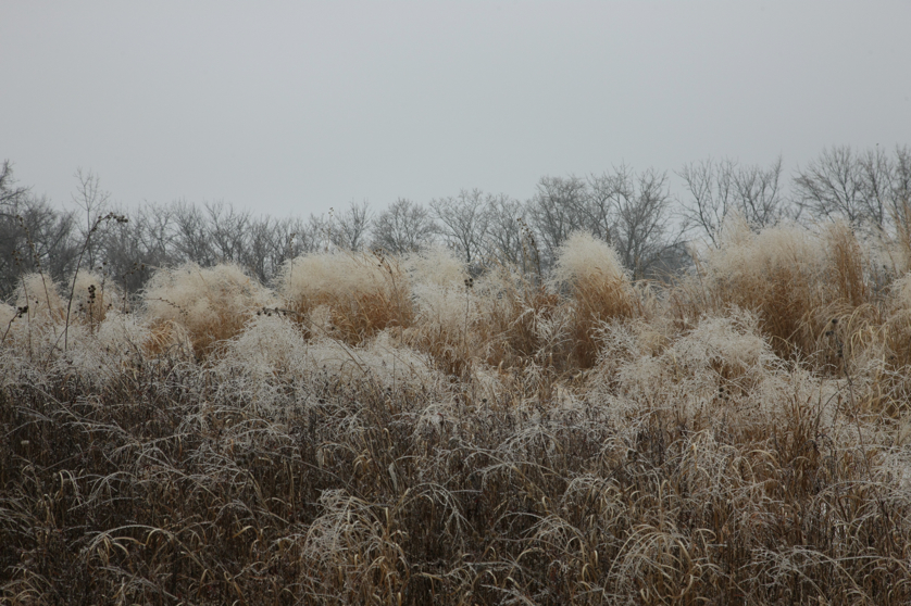 Full Size Image = 4961 K